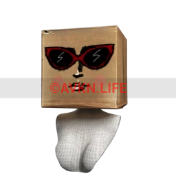 Fashionista Box Head (for Female)