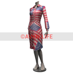 Front Row Red, White and Blue Dress