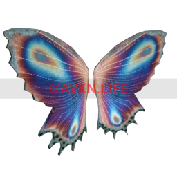 Cosmos Iridescent Morpho Butterfly Wings