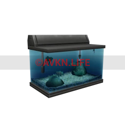 Aquaria Fish Tank