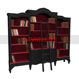 Afterlife Shadow Book Shelves