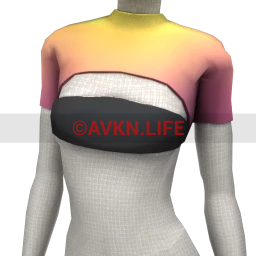 Nova Turbo Burn Crop Top