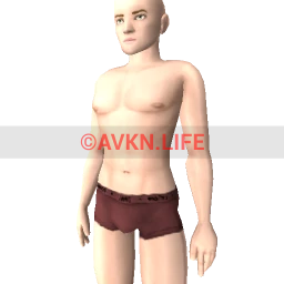 Default Torso