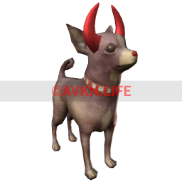 Demon Horned Chihuahua