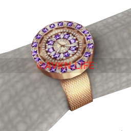 Bijouterie Brilliant Amethyst Watch