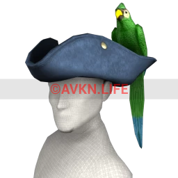 Cosmos Parrot Pirate Hat