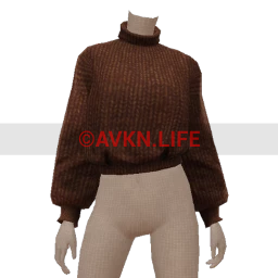 Drop Science Brown Turtle Neck Sweater