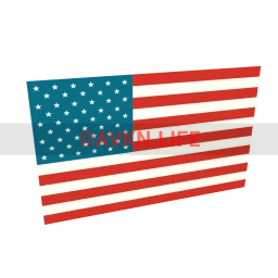 American Flag Sticker