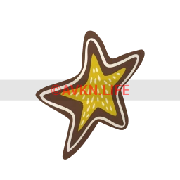 Big Star Cookie Sticker