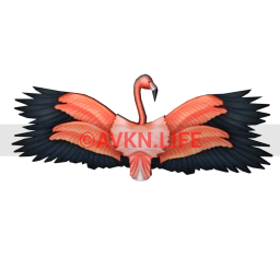 Mahiki Tropical Flamingo Wings