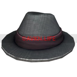 Detective Hat