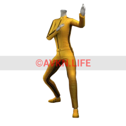 Kung Fu Suit