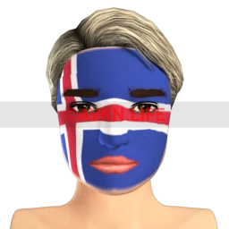 Icelandic Flag Facepaint