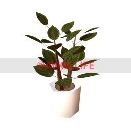 Emily Potted Plant