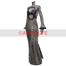 Ikon Illusion Dress