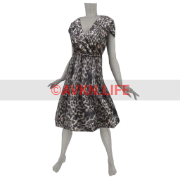 Claria Leopard Dress