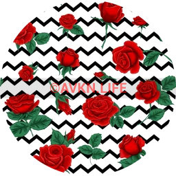 Zigzag Rose Garden Wallpaper