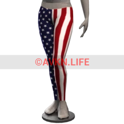 Stars and Stripes leggings