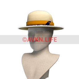 Front Row Sunshine Hat