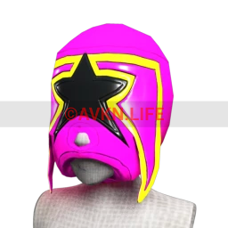 The DandyLions Star Mask