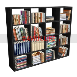 Ergonomy Bookshelf - Decorated