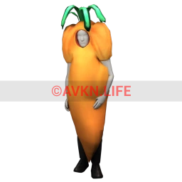 Cosmos Carrot Costume