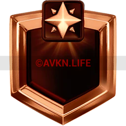 VIP Club (Bronze)