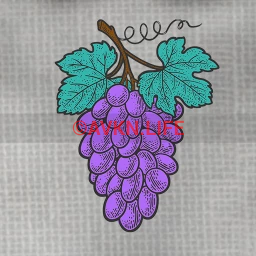 Grape Vine Tattoo