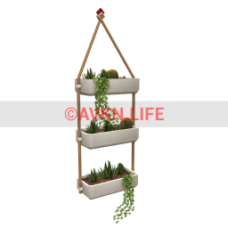 Hanging Cacti Baskets