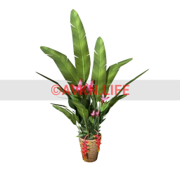 Wanderlust Whirlpool Samsara Potted Plant