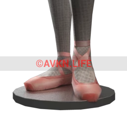 Bionic Ballet Pointe Shoes - Pink