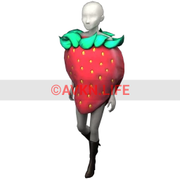 Cosmos Strawberry Costume