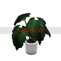 White Potted Plant - Small