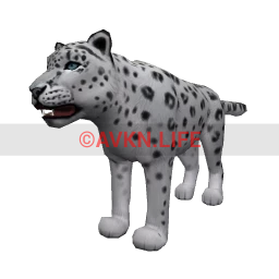 Snow Leopard