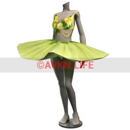 Bionic Sassy Fairy Ballet Costume