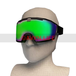 Bionic Nova Ski Goggles - Green