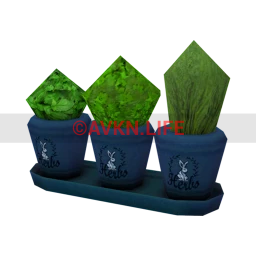 Indoor Herb Garden