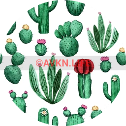 Blooming Cacti Wallpaper