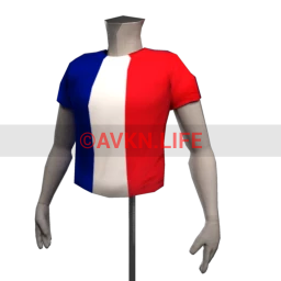 French Flag T Shirt