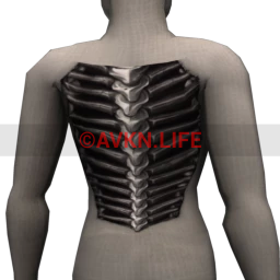 X-Ray Back Tattoo