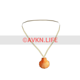 Lion's Paw Shell Necklace