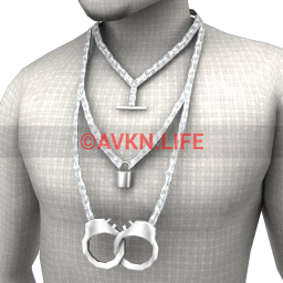 Drop Science Chained & Locked Necklace