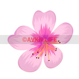 Pink Zen Sticker