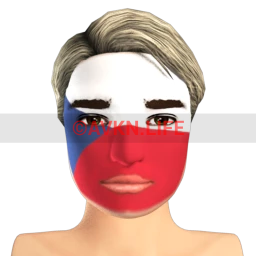 Czech Republic Flag Facepaint