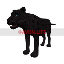 Black Leopard