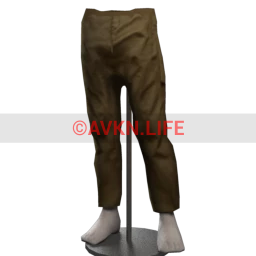 Drop Science Khaki Cargo Pants