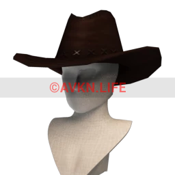 Cosmos Wild West Wanderer Hat