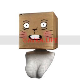 Cat Box Head (for Female)