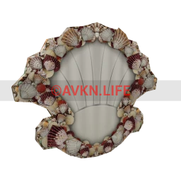 Cosmos Saltwater Shell Mirror