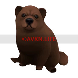 Chow Chow Puppy - Brown